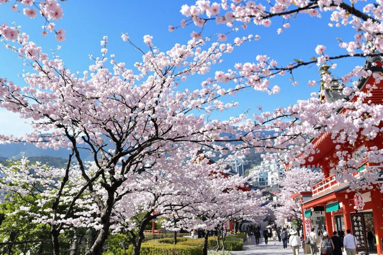 Faut-il un visa pour aller au Japon en 2025 ? Ce que les touristes français doivent savoir.jpg