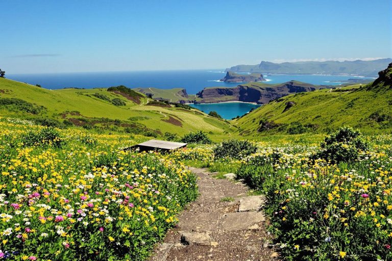 Açores : quelle île choisir pour vos vacances en 2025 ?.jpg