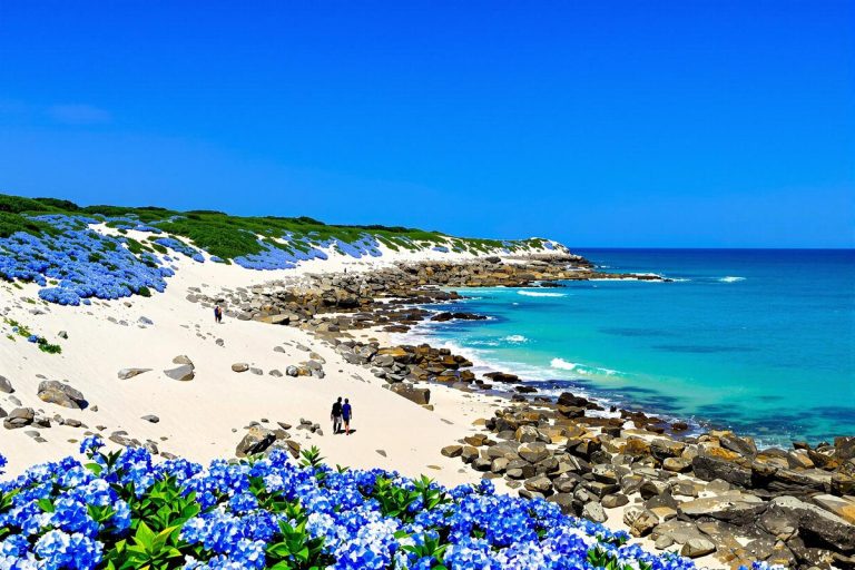 Bretagne : cette plage aux allures caribéenne est un paradis.jpg