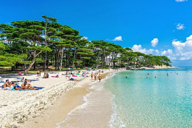 Entre pins et sable blanc, cette plage de Loire-Atlantique fait de l’ombre à celles du Var.jpg