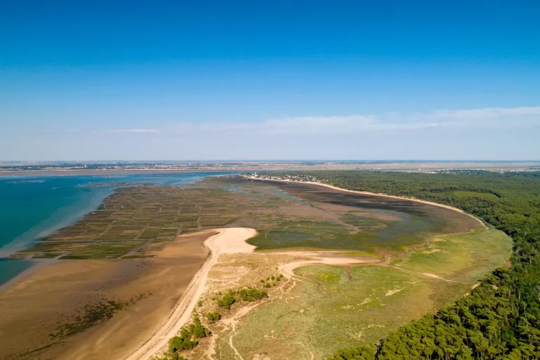 decouvrez-la-plage-oubliee-de-charente-maritime-qui-seduit-a-nouveau-les-familles
